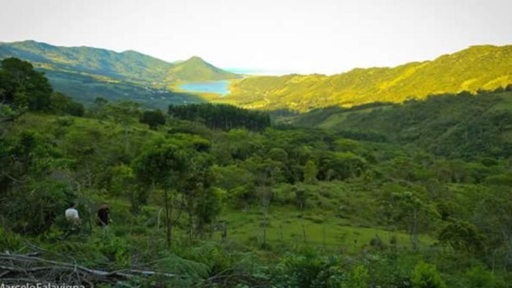 WhatsApp Image 2022-02-06 at 19.46.10