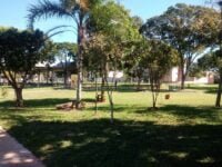 Imobiliária- elois-corretor-de-imóveis-casa-residencial-para-venda-industrial-em-londrina-paraná-05