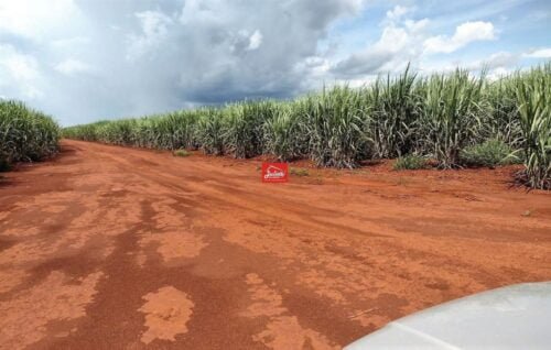 juliosdnaimoveis-Faz.445 há-Acreúna-GO..0001