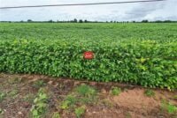 juliosdnaimoveis-Faz.Soja e Gado-Val.Arag.GO-0002