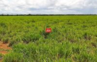 juliosdnaimoveis-Faz.V.A.GO-0005