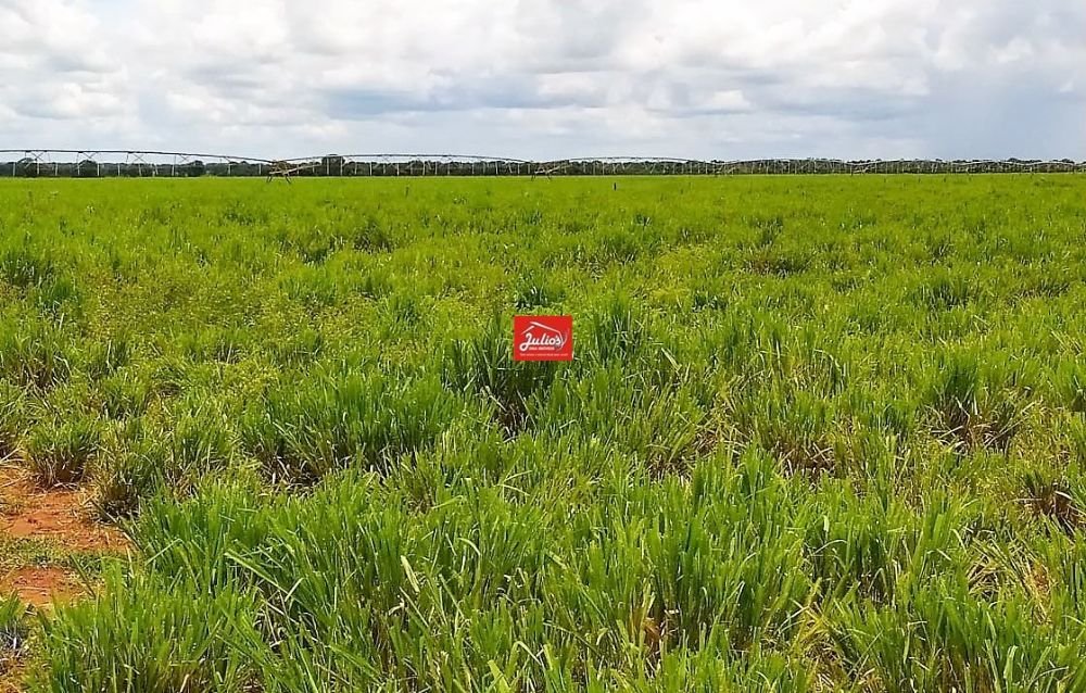 juliosdnaimoveis-Faz.V.A.GO-0005