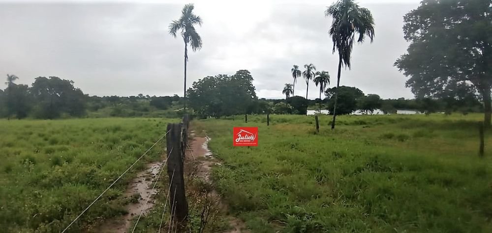 juliosdnaimoveis-Faz. M. Novo-GO-00013