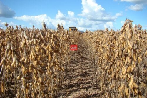 juliosdnaimoveis-Faz.Soja e Gado-Val.Arag.GO-0001