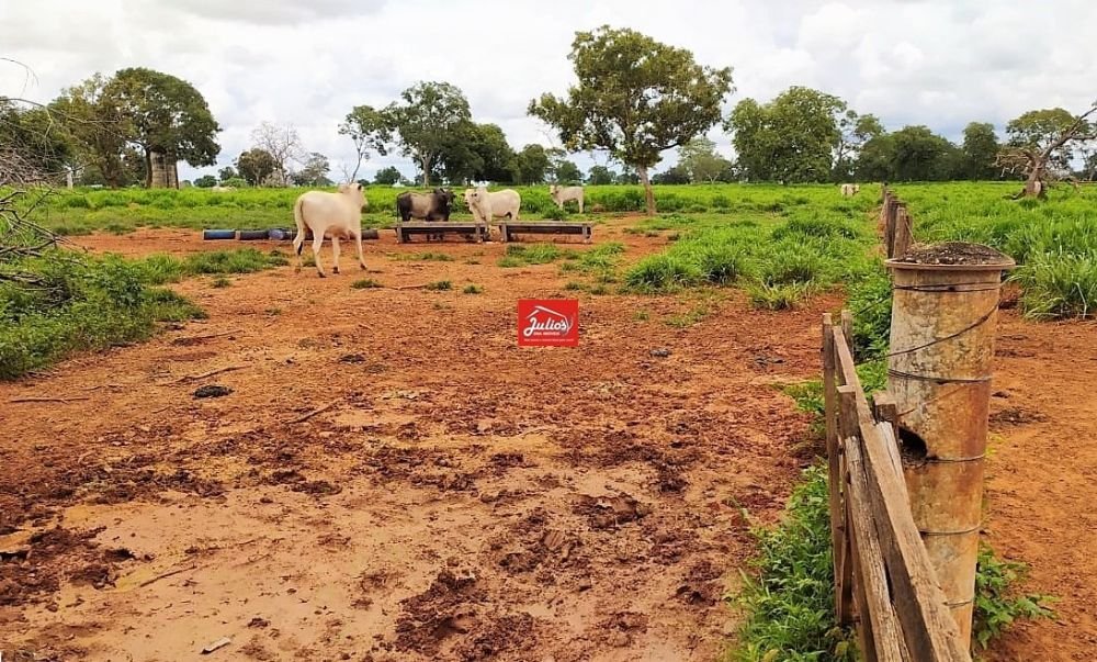 juliosdnaimoveis-Faz.V.A.GO-0002