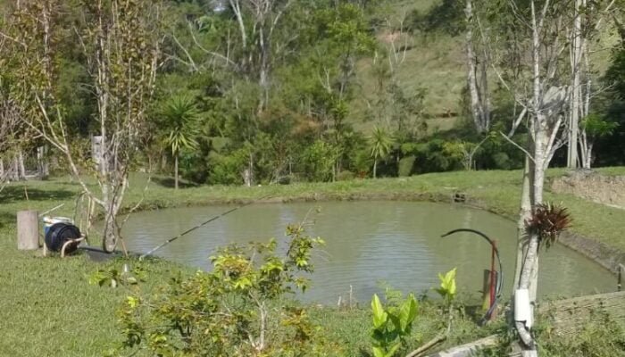 IMG-20220502-WA0014