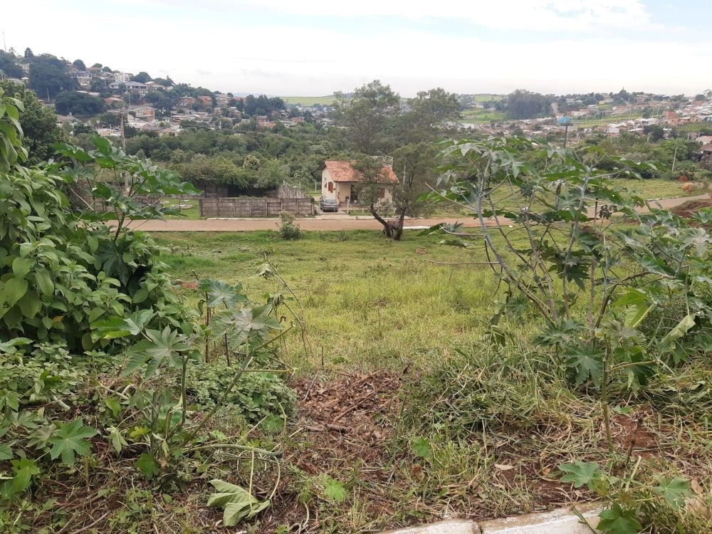 WhatsApp Image 2022-04-27 at 11.45.27 (1)