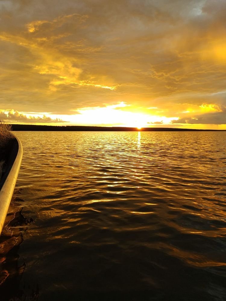 0dcf9f79-19a6-41c7-9973-49742f9e4582