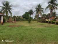 71a5dd8d-731b-45b8-9896-e0dcd0325394