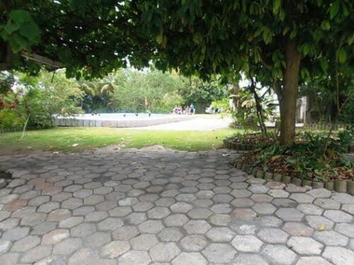 1459742_10202042183633614_57085474_n - Copia