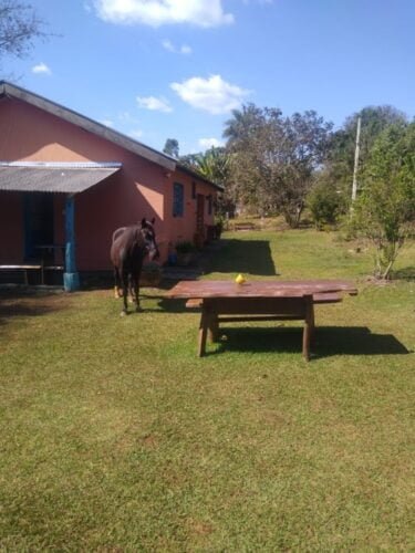 WhatsApp Image 2022-08-09 at 18.01.27