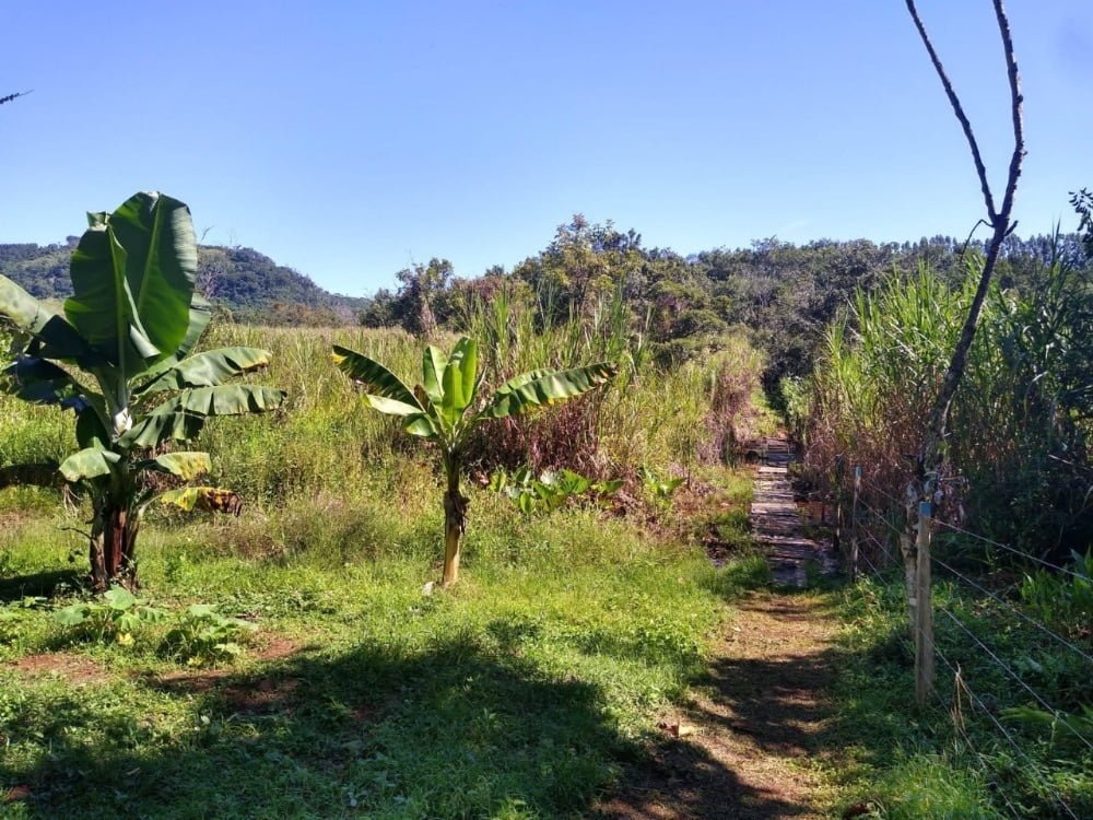 WhatsApp Image 2022-08-09 at 18.00.33 (4)