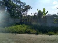 f7477b26-591b-4270-931f-aaaf0c9c754e-700