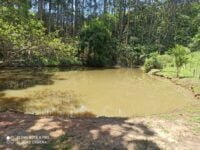 42346f3b-0eae-477e-af3e-acf7a403d203