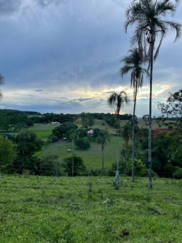 WhatsApp Image 2023-01-23 at 18.33.40