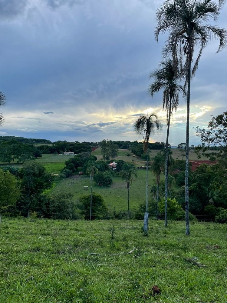 WhatsApp Image 2023-01-23 at 18.33.40