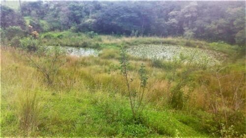 cda050d0-ad0c-468b-8d46-9b458f0ad3d2