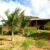 FRENTE CASA