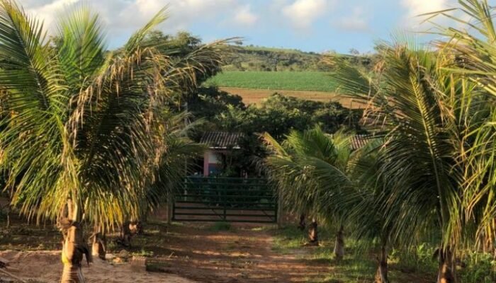 VISTA DAS OUTRAS CHACARAS