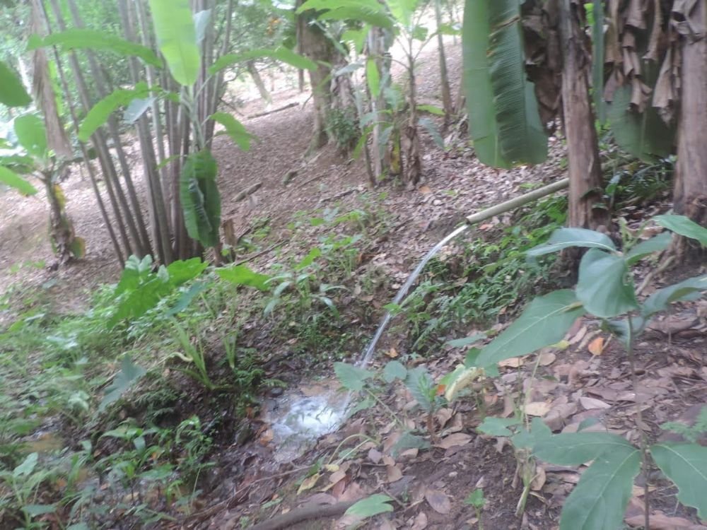 WhatsApp Image 2023-04-11 at 18.52.26 (3)