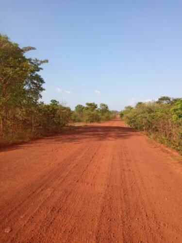 WhatsApp Image 2023-01-11 at 19.43.24