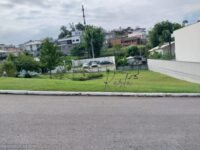 WhatsApp Image 2023-05-09 at 13.14.06