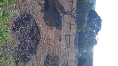 16884091096332416260826223941078