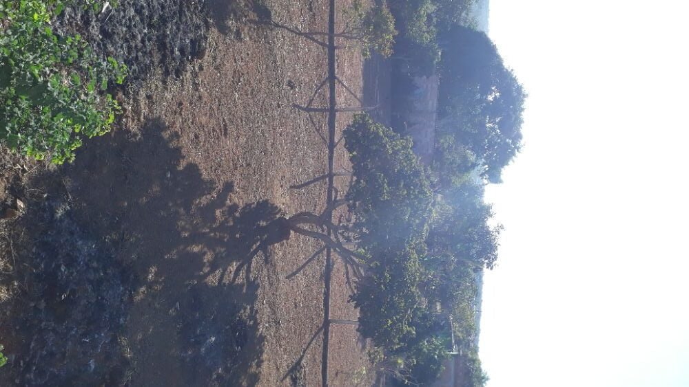 1688409173158467878371531795110