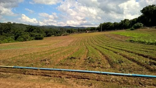 WP_20160312_14_22_06_Pro