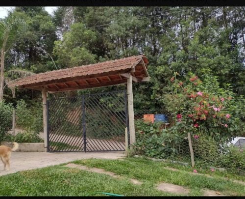 Gallery_1693741334234