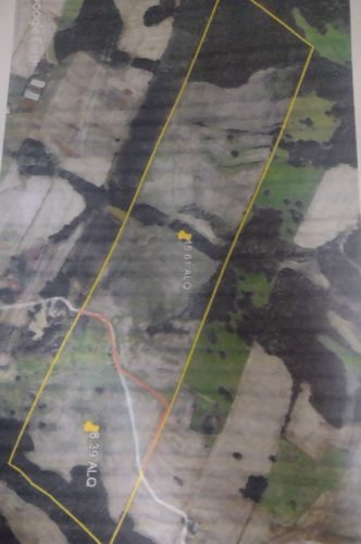 IMG_20231009_161617186