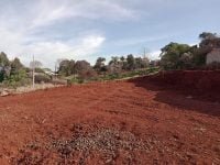 FB_IMG_1697505696684