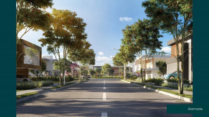 big-bb6ab73a565b88409b696838d06e882c