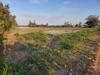 FB_IMG_1692209929479