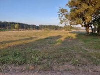 FB_IMG_1692209934915