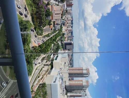 IMG_20240118_133512275