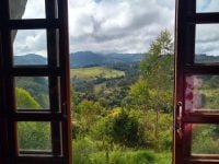 5136542541557116134_121