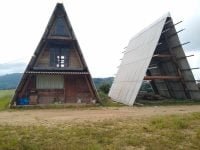 5136542541557116159_121