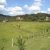 PHOTO-2023-07-06-12-46-24 (3)