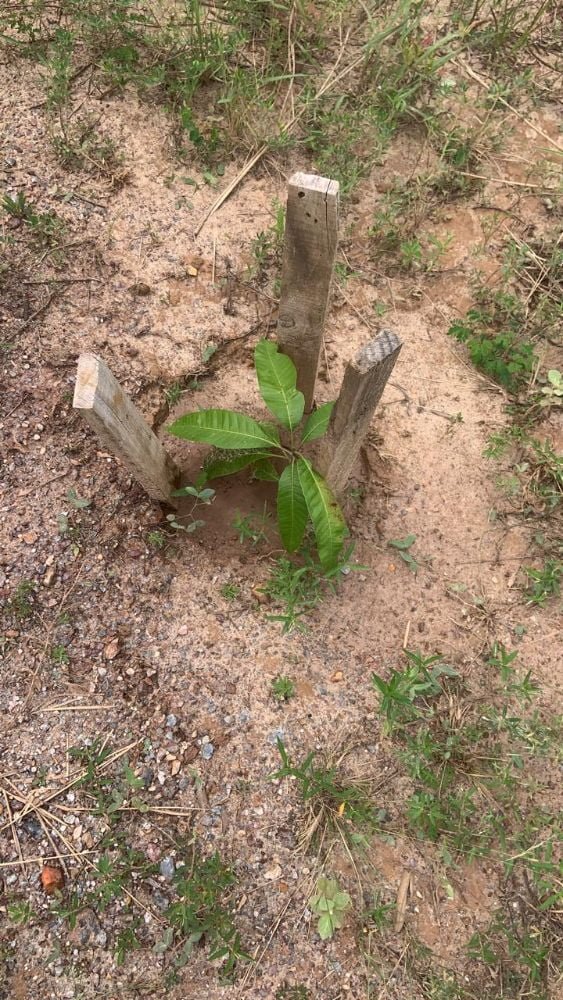 WhatsApp Image 2024-06-01 at 11.43.22