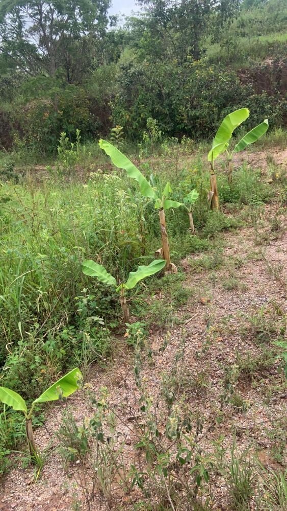 WhatsApp Image 2024-06-01 at 11.43.22 (1)