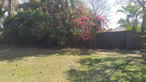 20230129155138932842