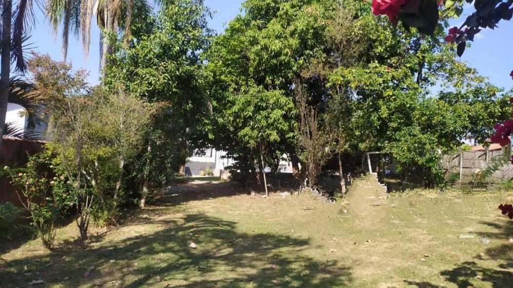 20230129155140368122