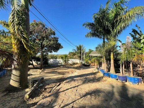 20240508133838672468