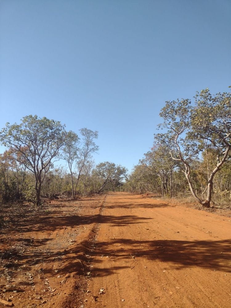 chacaras em curvelo 31 99526 5839