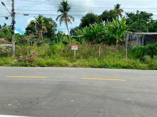 WhatsApp Image 2024-12-02 at 16.09.17 (2)