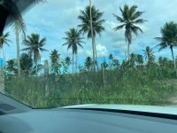 WhatsApp Image 2024-12-02 at 16.09.17