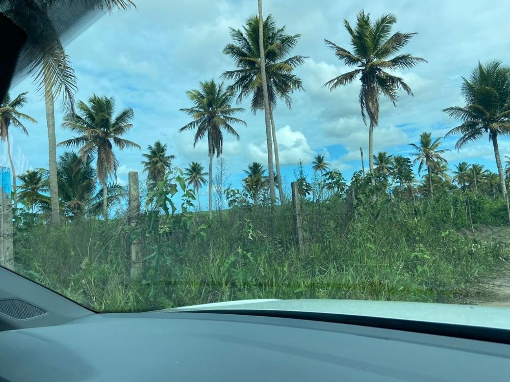 WhatsApp Image 2024-12-02 at 16.09.17