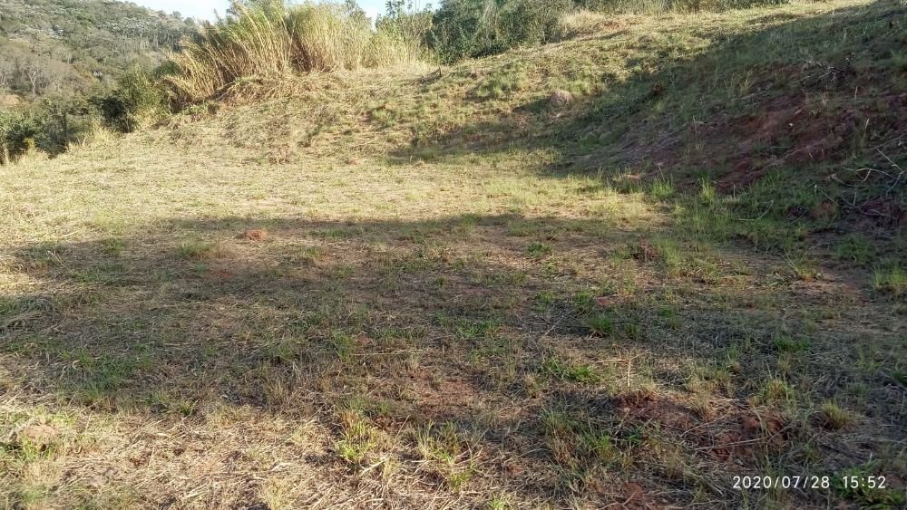 WhatsApp Image 2025-02-27 at 16.59.56 (1)