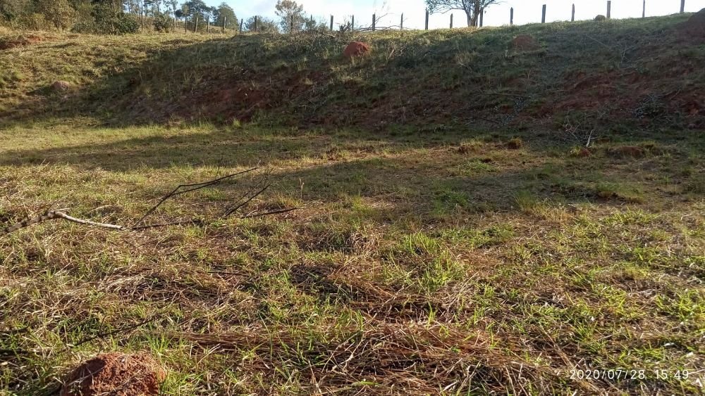 WhatsApp Image 2025-02-27 at 16.59.56